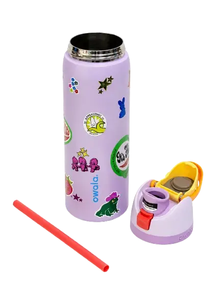 945ML Premium Vacuum Insulated Stainless Steel Water Bottle