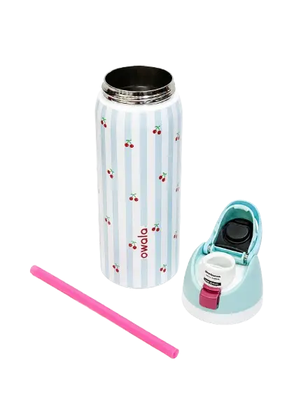 945ML Premium Vacuum Insulated Stainless Steel Water Bottle