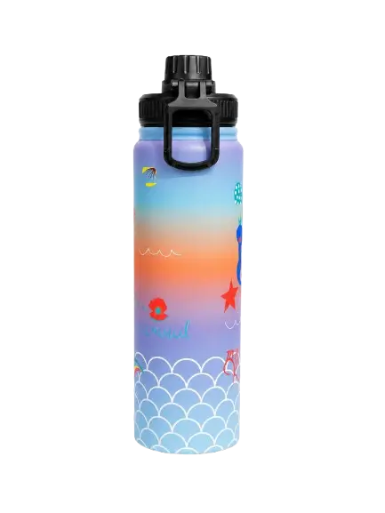 HYDRO INSULATED STANDARD MOUTH 650ML BOTTLE WITH FLEX CAP