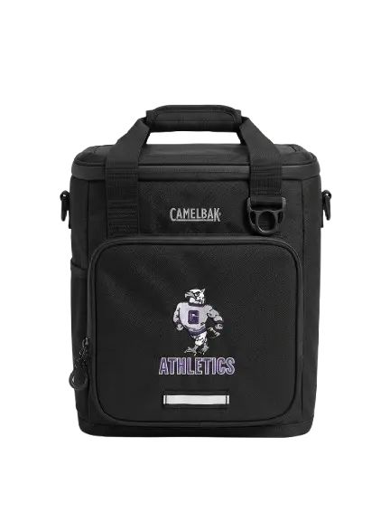 Premium 16 Can Insulated Cooler Tote Bag | Waterproof Leakproof Thermal Travel Cooler