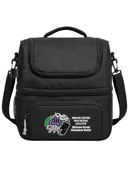 Premium Two Layer Insulated Lunch Cooler Bag