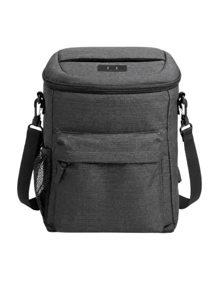 Premium Insulated Lunch Cooler Bag | Portable Office & Travel lunch bag